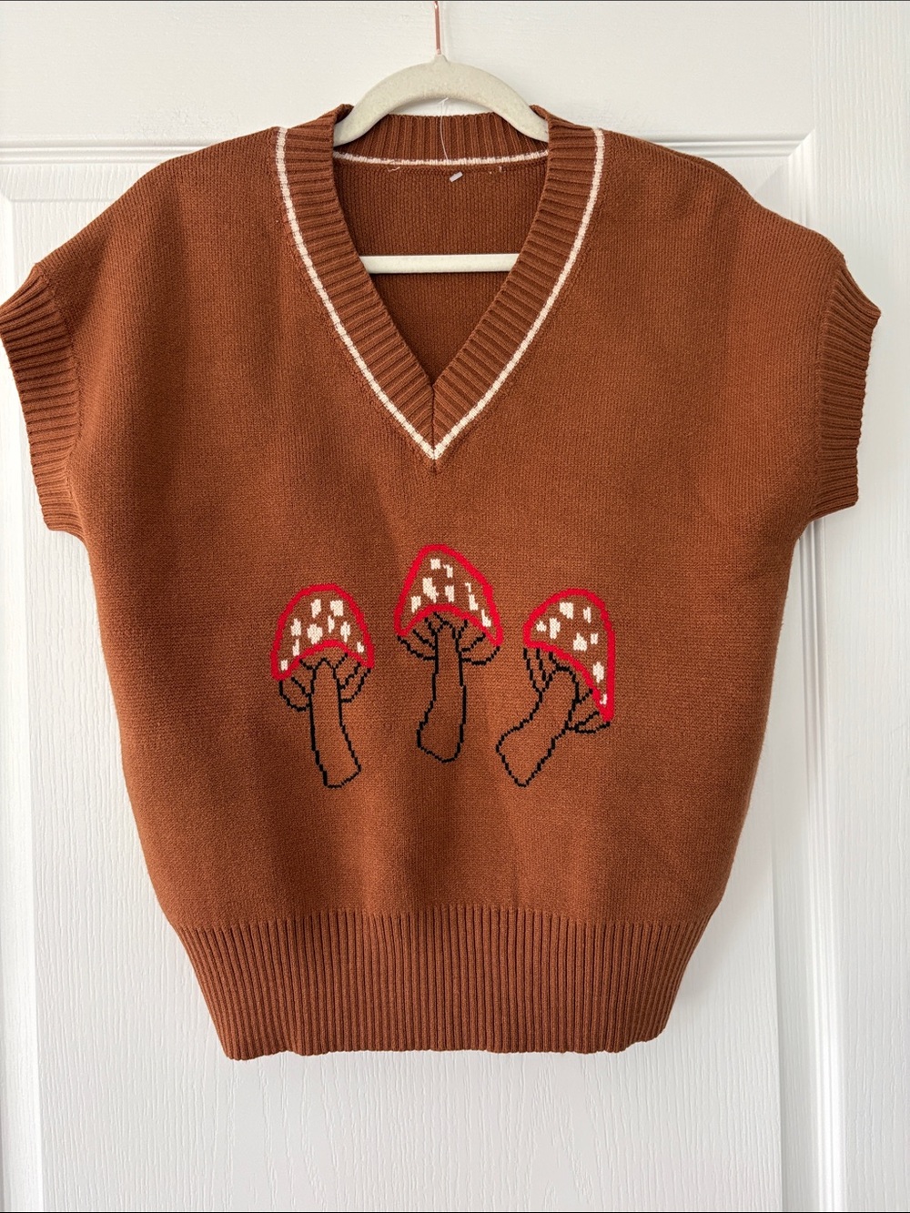 Rust Brown Mushroom Knit Vest - Unbranded